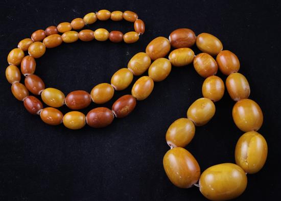 A single strand graduated oval amber bead necklace, 31in.